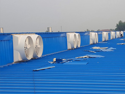 1460負(fù)壓風(fēng)機價格,玻璃鋼負(fù)壓風(fēng)機廠家現(xiàn)貨